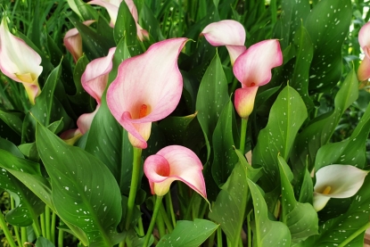 034